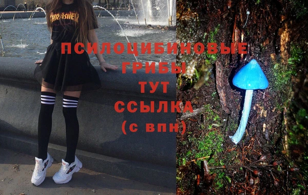 стафф Баксан