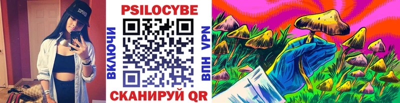 что такое наркотик Ленинск-Кузнецкий Галлюциногенные грибы Cubensis